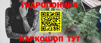 прущие грибы Кунгур