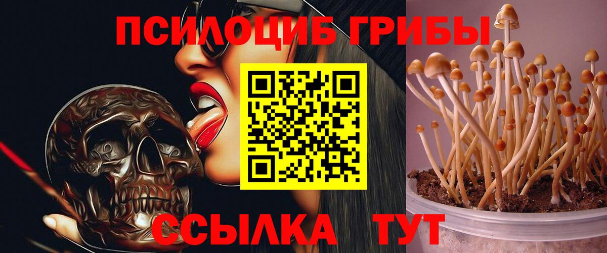 Псилоцибиновые грибы ЛСД Златоуст